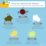 Causas y tratamientos del vómito marrón en perros