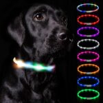 Collares luminosos ideales para la seguridad de tu perro