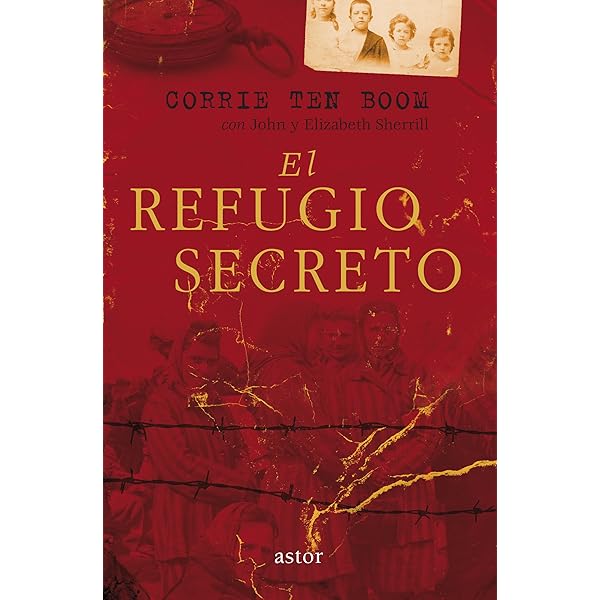 El refugio secreto de las gaviotas