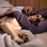 Impacto de dormir con tu perro en la salud