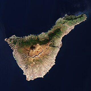 Maravillas aladas de Canarias: un paraíso en el cielo