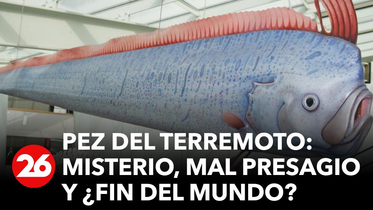Misterios de la leyenda del pez remo
