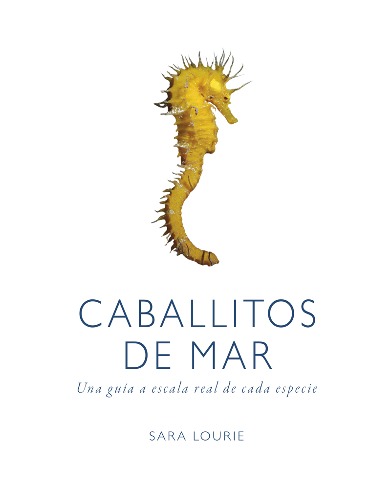 Variedades de caballitos de mar: una guía completa