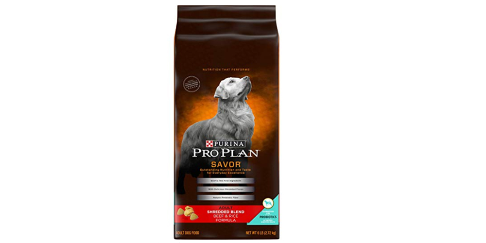 Alimentación ideal para perros con hipotiroidismo
