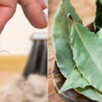 Aromas que repelen a las cucarachas