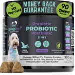 Beneficios y opciones ideales de probióticos para perros
