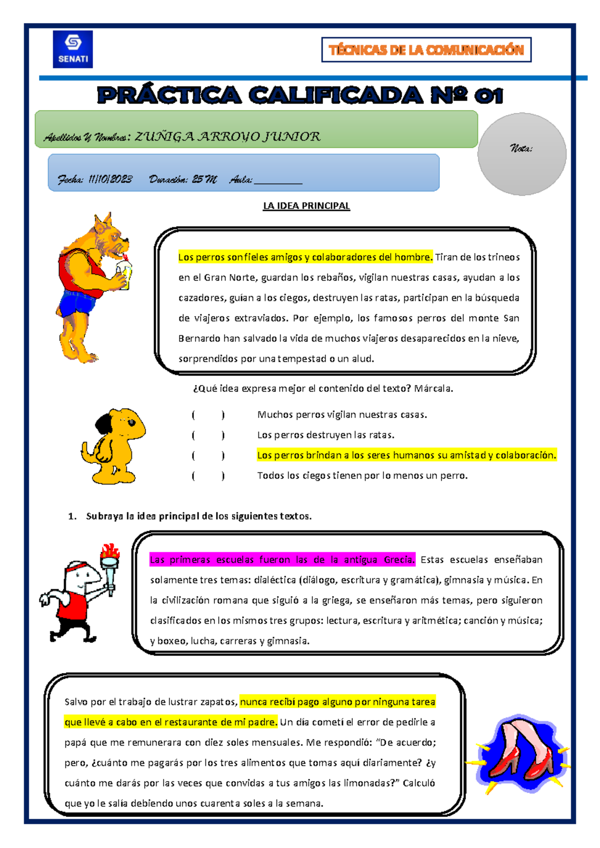 Comprende el sufrimiento de los perros ciegos