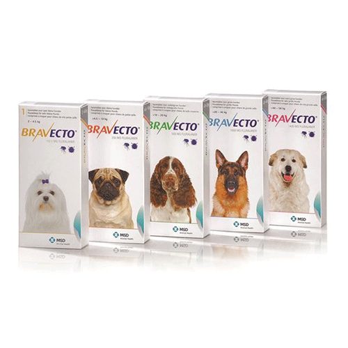 Conoce el precio, opiniones y efectos secundarios de Bravecto para perros