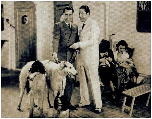 Conoce la raza de perro Borzoi y sorpréndete con su historia
