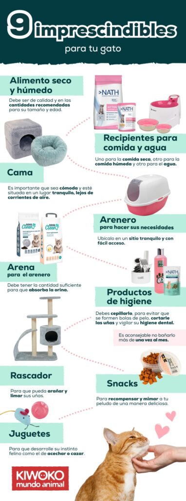 Consejos para el cuidado e higiene de tu gato en casa | Mascotario