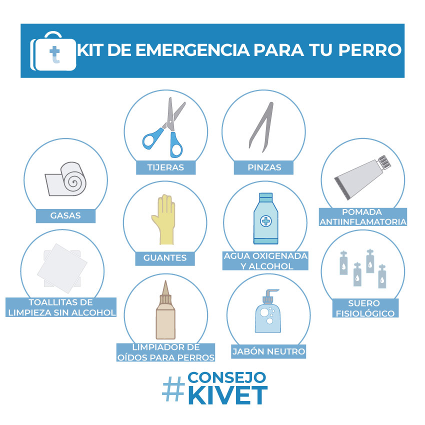 Elementos esenciales del botiquín de primeros auxilios para perros