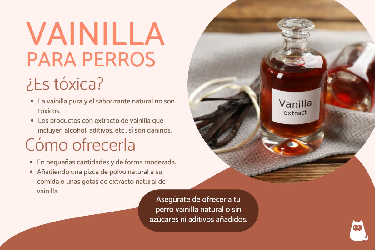 ¿Es segura la vainilla para los perros?
