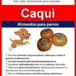 ¿Es seguro para los perros comer caqui?