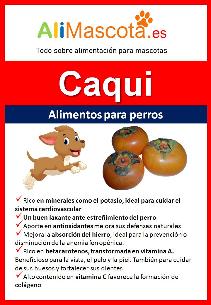 ¿Es seguro para los perros comer caqui?