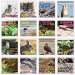 Especies protegidas de animales en Chile