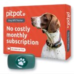 Guía de Funcionamiento y Recomendación de GPS para Mascotas