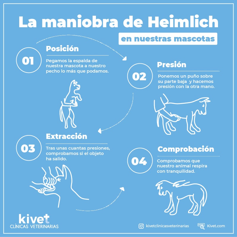 Guía para realizar la maniobra de Heimlich en perros