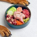 La mejor comida natural casera para perros