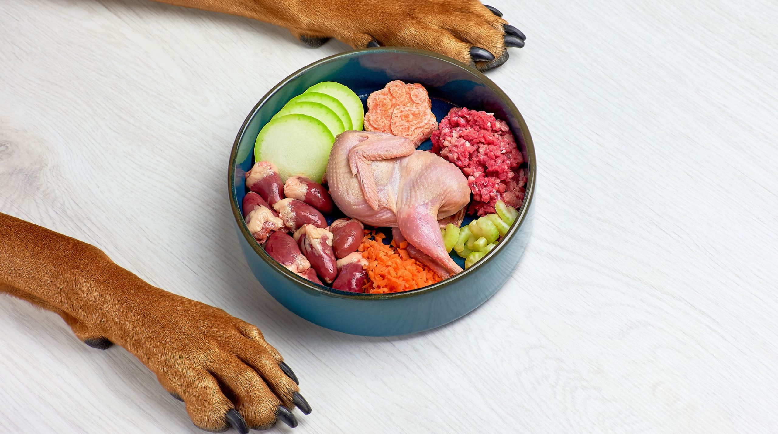 La mejor comida natural casera para perros