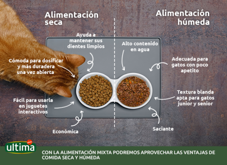 Mezcla de pienso y comida húmeda para gatos: ¿es posible?