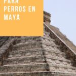 Nombres para perros en la cultura maya