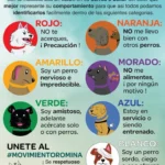 Razones de la agresividad de tu perro hacia ti