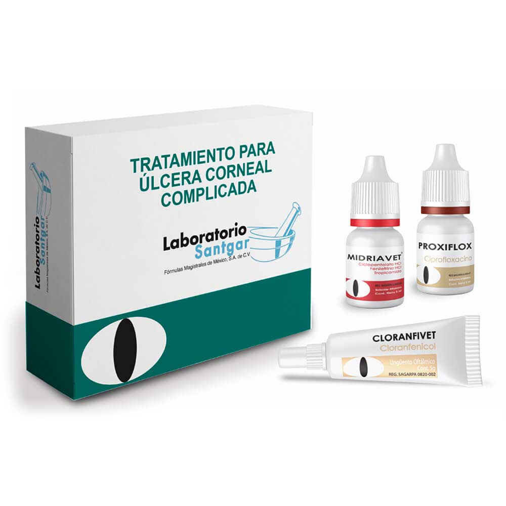 Síntomas y tratamiento para úlcera corneal en perros