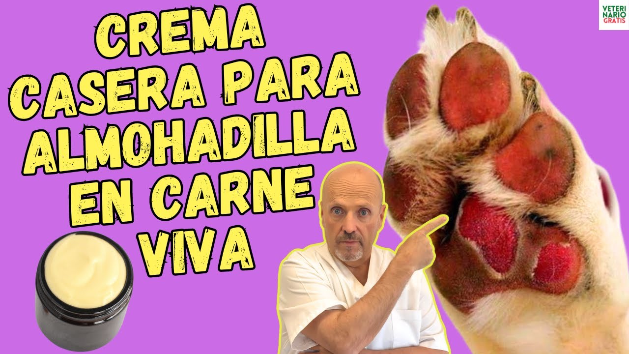 Soluciones caseras para el cuidado de almohadillas caninas
