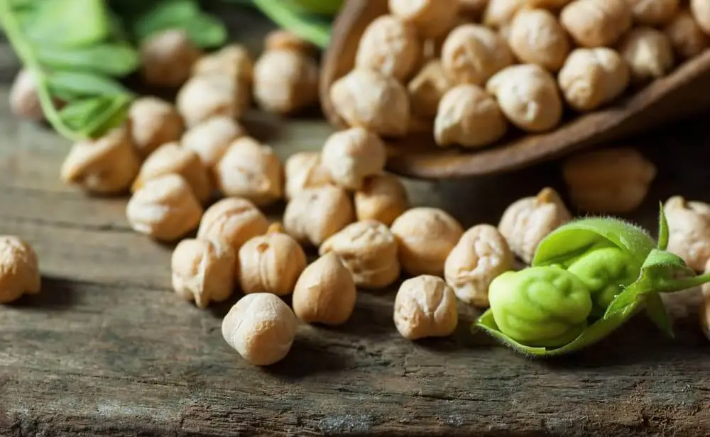 ¿Son los garbanzos seguros para los perros?
