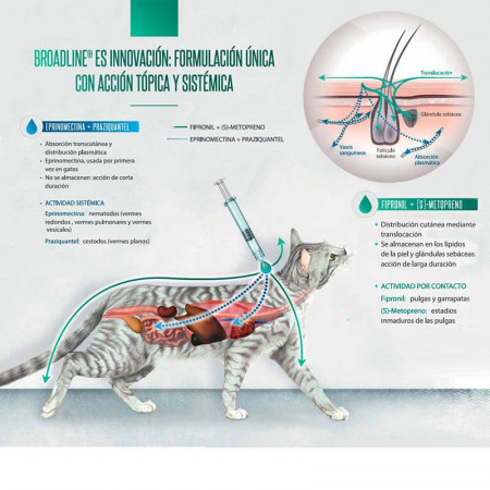 Todo lo que necesitas saber sobre Broadline para gatos: uso y aplicación